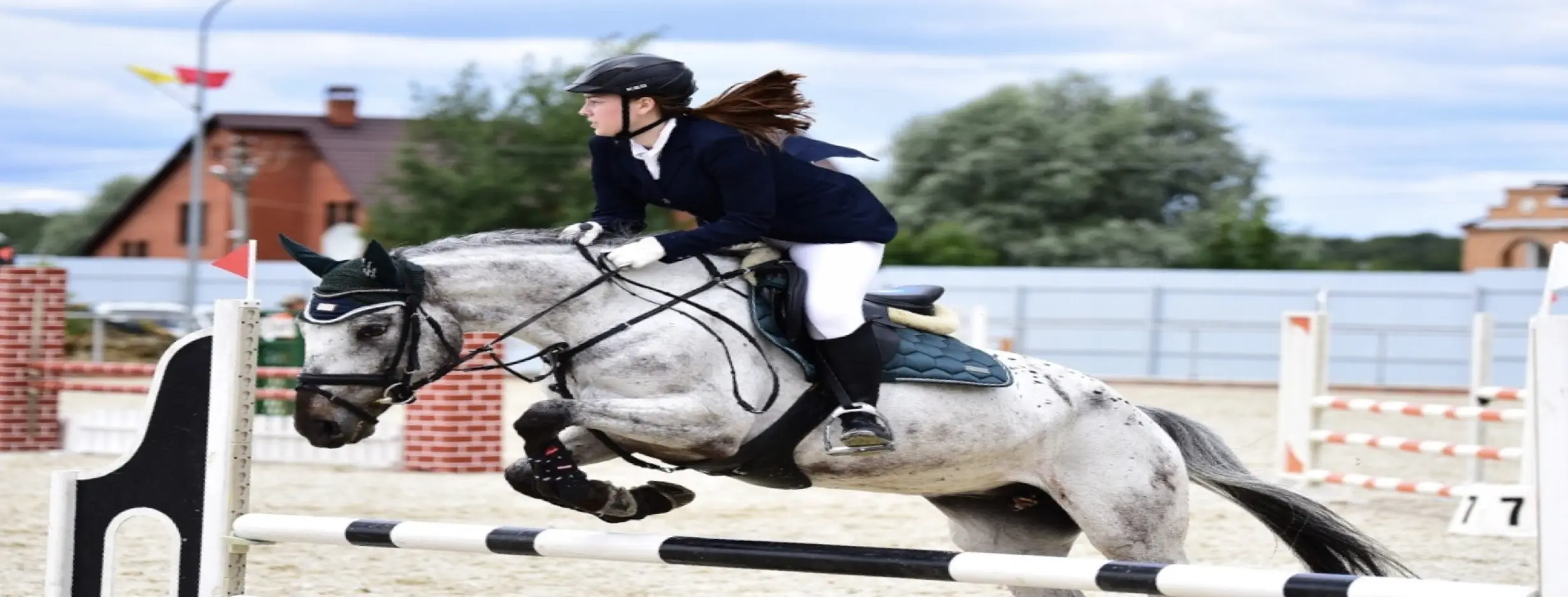 Image for Equestrian Paradise